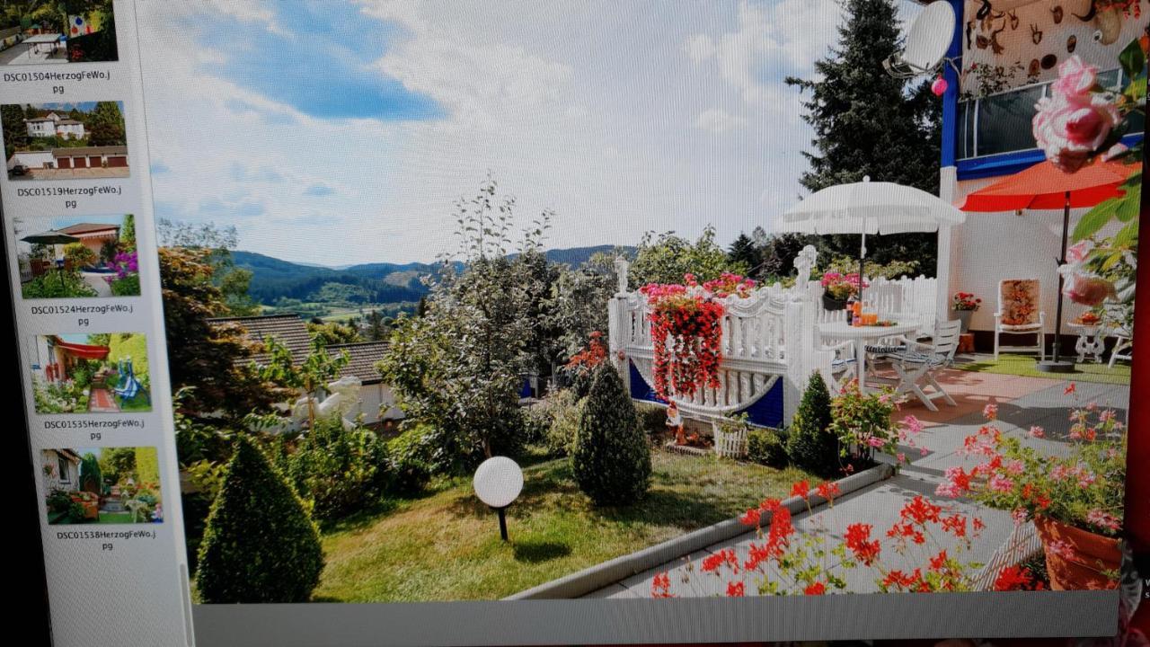 Ferienhaus Haus Herzog 티티제-노이슈타트 외부 사진
